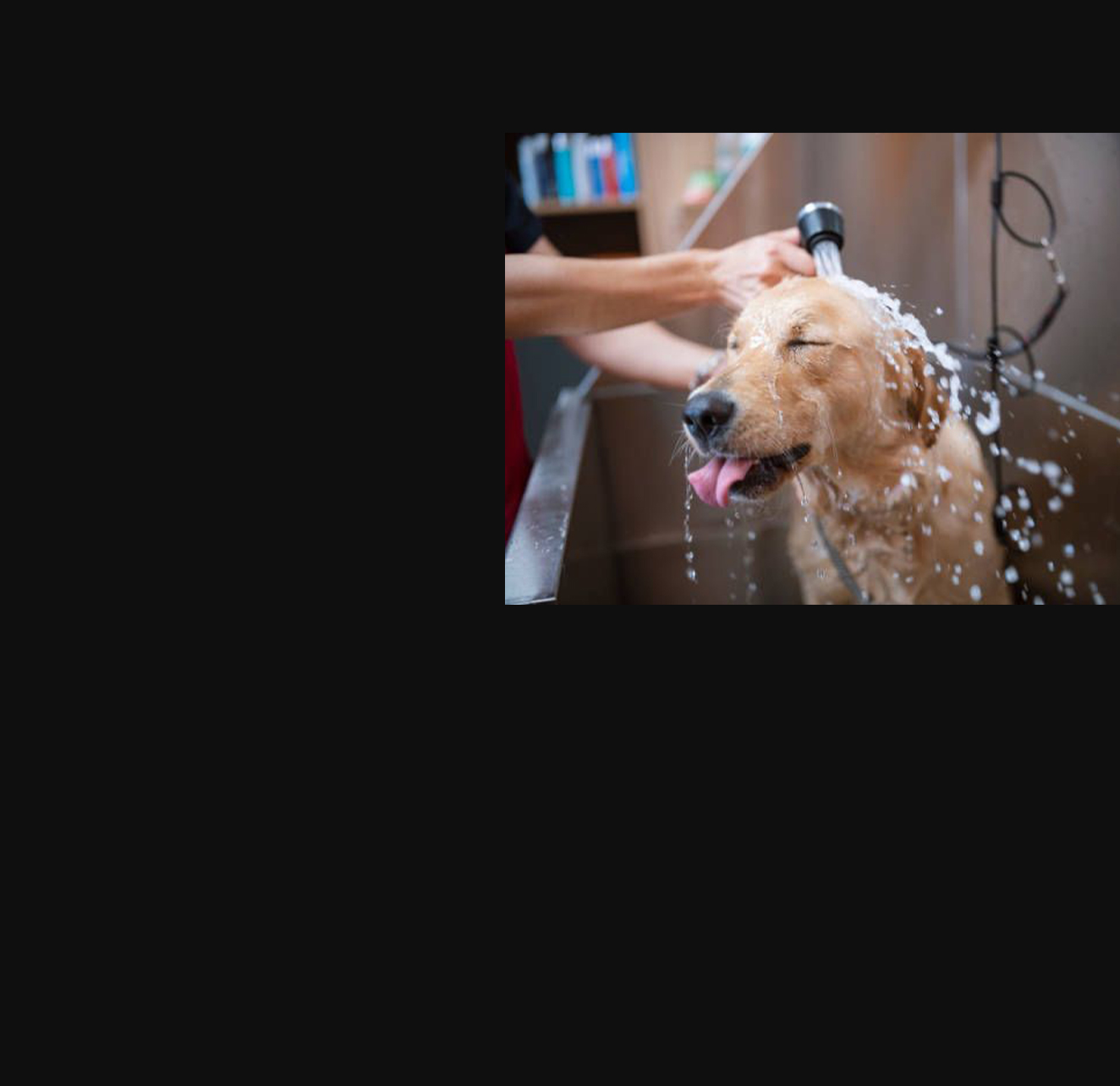 Header_image