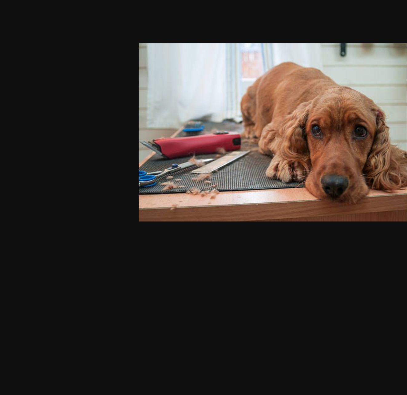 Header_image – 1